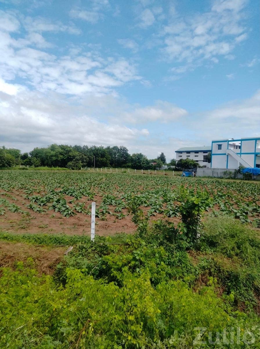 112 Guntha Fertile Juni Sharat Land Plot 112 Guntha Fertile Juni Sharat Land Plot