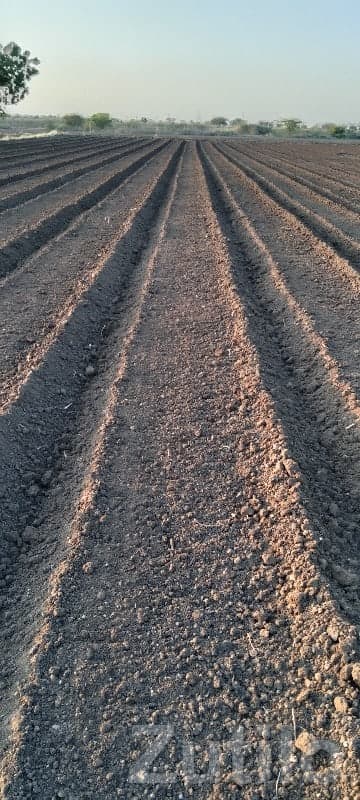 Fertile Agriculture Land for Sale Lalpur