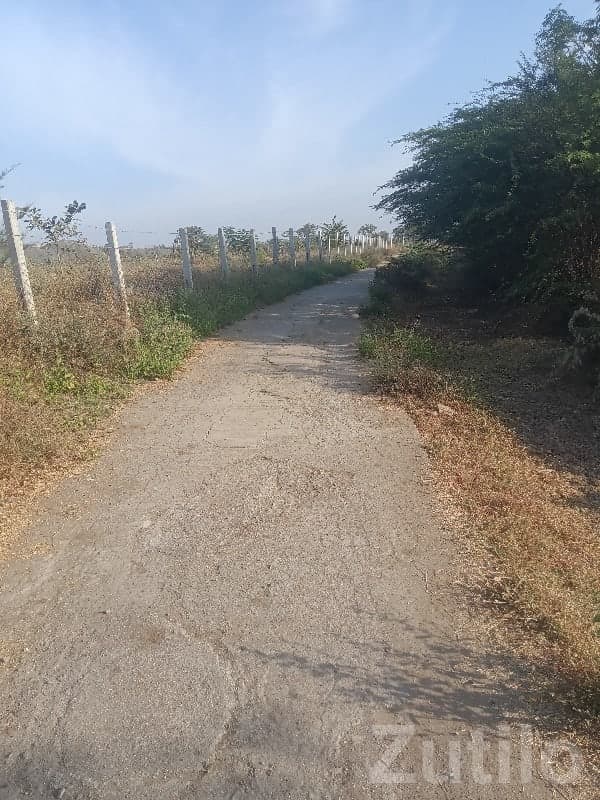 Fenced Agricultural Land in Manavadar