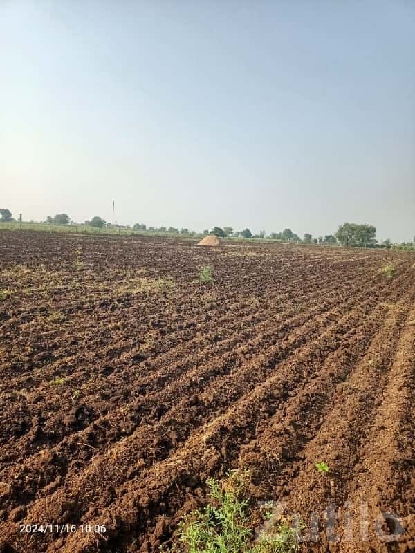 Rajkot Fertile Agricultural Land for Sale Rajkot Fertile Agricultural Land for Sale