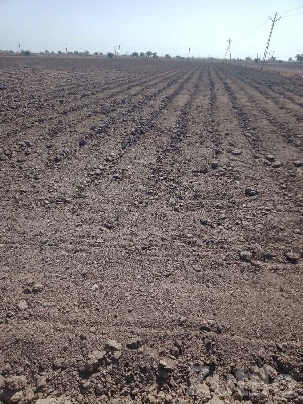 Fertile Agricultural Land in Kutiyana Fertile Agricultural Land in Kutiyana