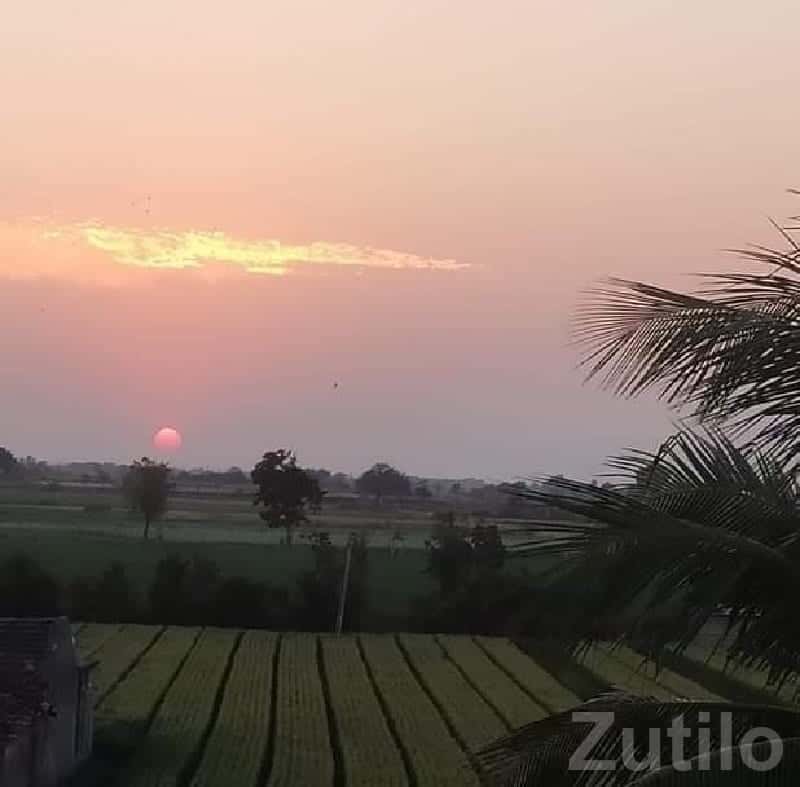 Scenic Agricultural Land with Sunset View Scenic Agricultural Land with Sunset View