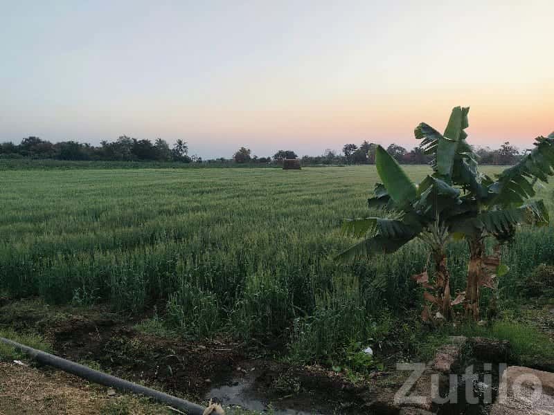 Fertile Open Farming Land Plot Fertile Open Farming Land Plot