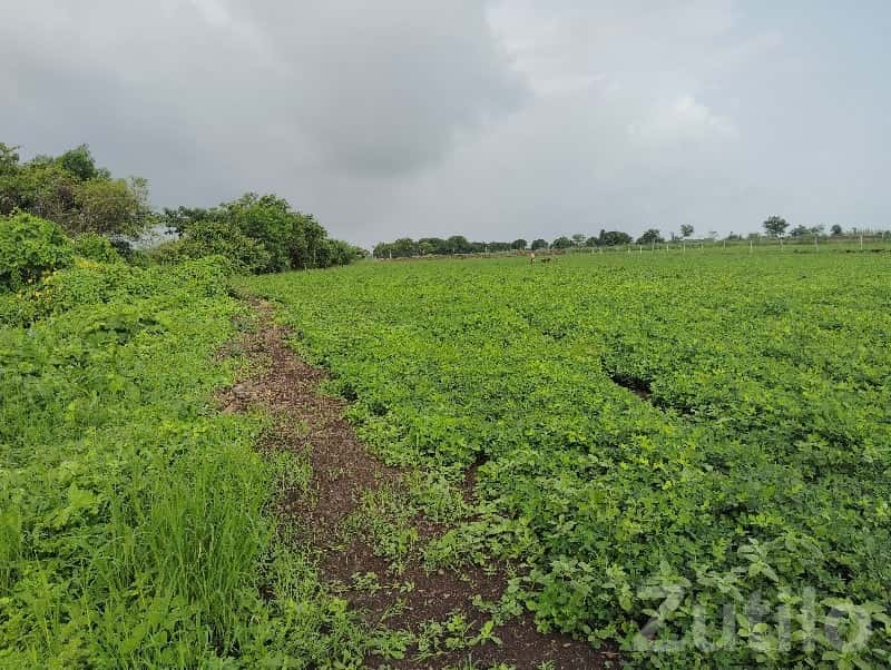 Green Fertile Agricultural Land Mendarda Green Fertile Agricultural Land Mendarda