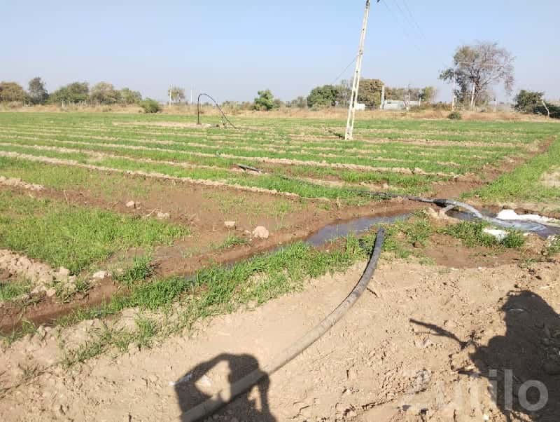 Irrigated Agricultural Land for Sale Irrigated Agricultural Land for Sale