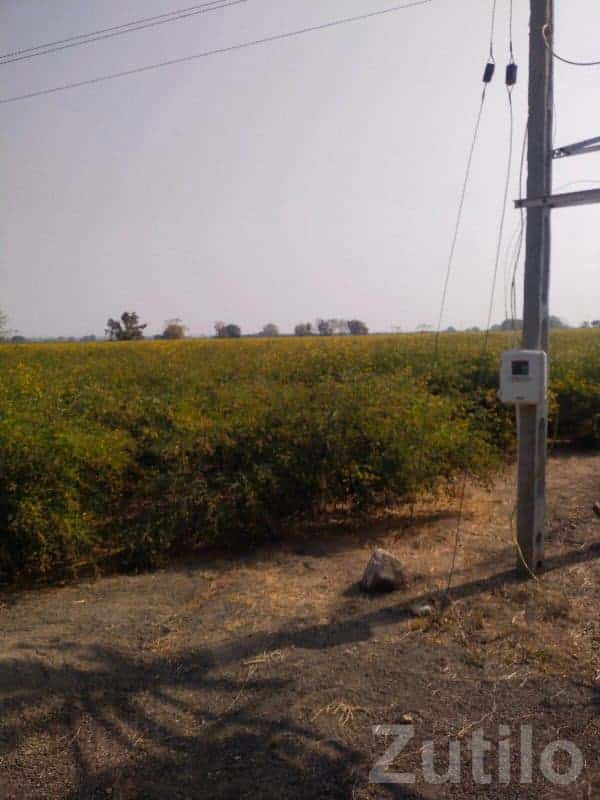 Roadside Agricultural Land with Power Roadside Agricultural Land with Power