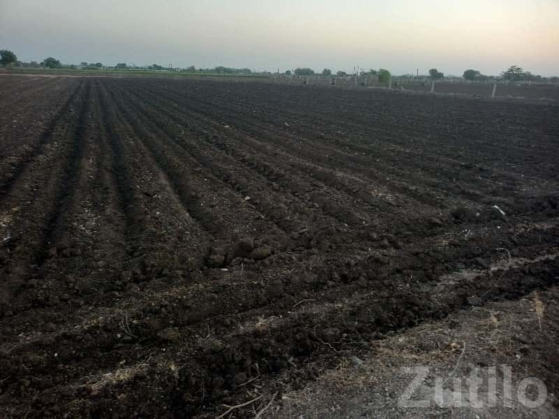 Fertile Agricultural Land for Sale, Gondal Fertile Agricultural Land for Sale, Gondal