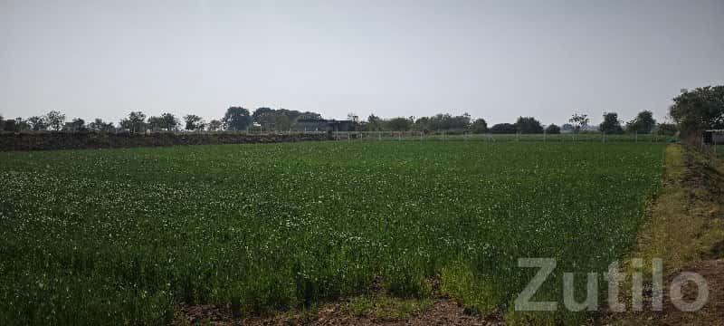 Fertile Agricultural Land for Sale Fertile Agricultural Land for Sale