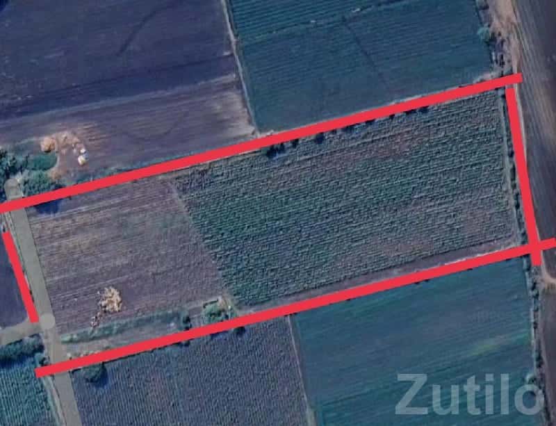 16 Vigha Agricultural Land Kutiyana 16 Vigha Agricultural Land Kutiyana