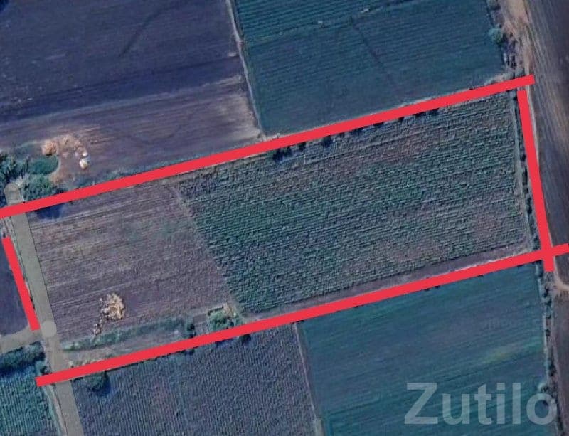 16 Vigha Agricultural Land Kutiyana