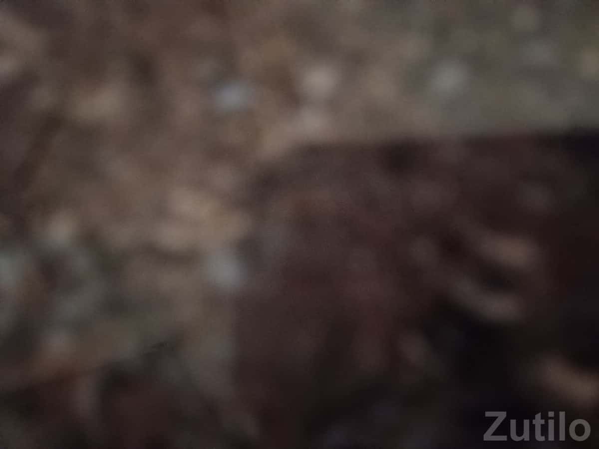 Highway Side Plot for Sale in Ranavav Highway Side Plot for Sale in Ranavav