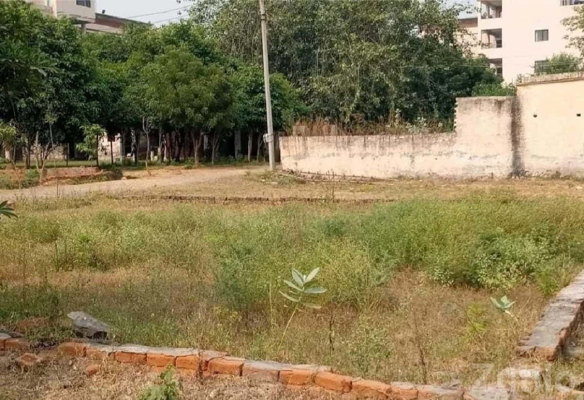 Residential Plot for Sale in Harij Residential Plot for Sale in Harij