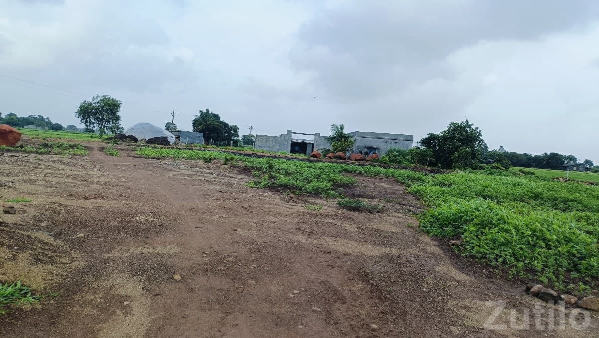 5 Bigha Open Agricultural Land for Sale 5 Bigha Open Agricultural Land for Sale