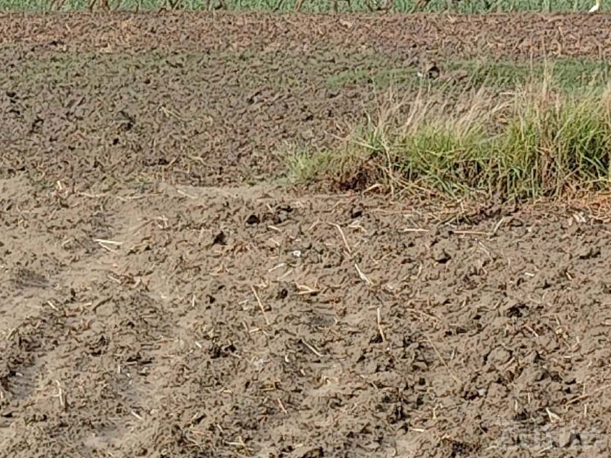 Residential/Farm Plot for Sale Kangshiyali Residential/Farm Plot for Sale Kangshiyali