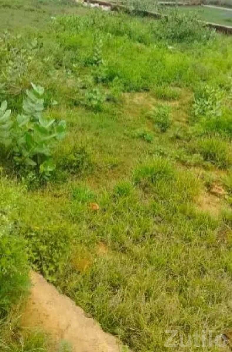 107 Var Residential Plot for Sale 107 Var Residential Plot for Sale