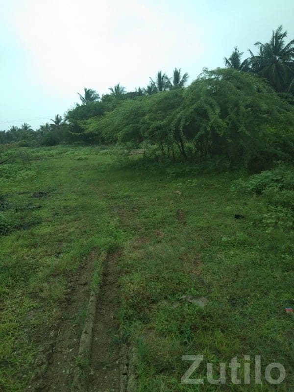 Dadhichi Township Residential Plot 107 Var Dadhichi Township Residential Plot 107 Var