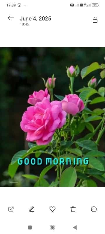 Corner Commercial Shop for Sale Corner Commercial Shop for Sale