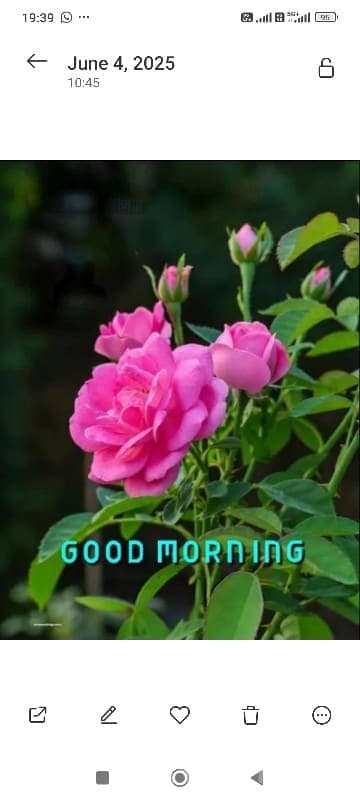 Corner Commercial Shop for Sale Corner Commercial Shop for Sale