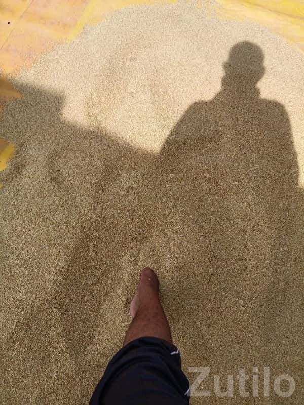 Quality Farm Soil / Filler Material Quality Farm Soil / Filler Material