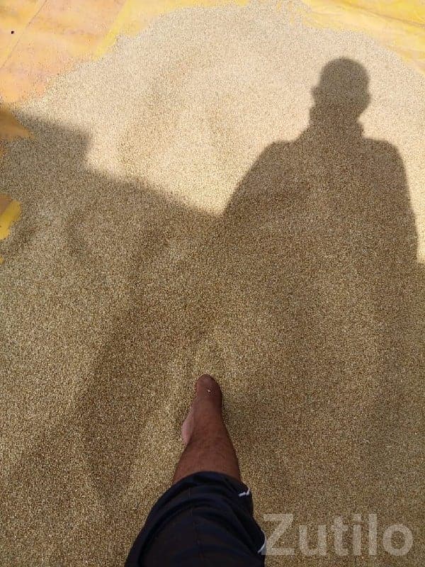 Quality Farm Soil / Filler Material Quality Farm Soil / Filler Material