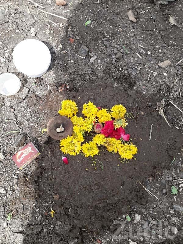 Residential Plot for Sale in Gondal Residential Plot for Sale in Gondal