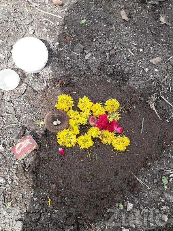 Residential Plot for Sale in Gondal - Land & Plots - Gondal - Image 1