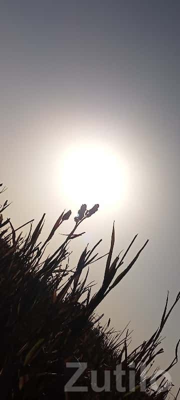 Residential Plot for Sale in Ranavav Pipriya Residential Plot for Sale in Ranavav Pipriya