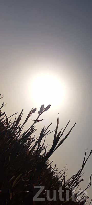 Residential Plot for Sale in Ranavav Pipriya - Land & Plots - Mokar - Image 1