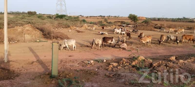 Road Touch Plot for Sale Bhatia Bypass Road Touch Plot for Sale Bhatia Bypass