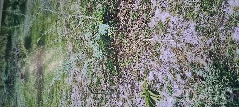 Highway Touch Plot for Sale in Una Highway Touch Plot for Sale in Una