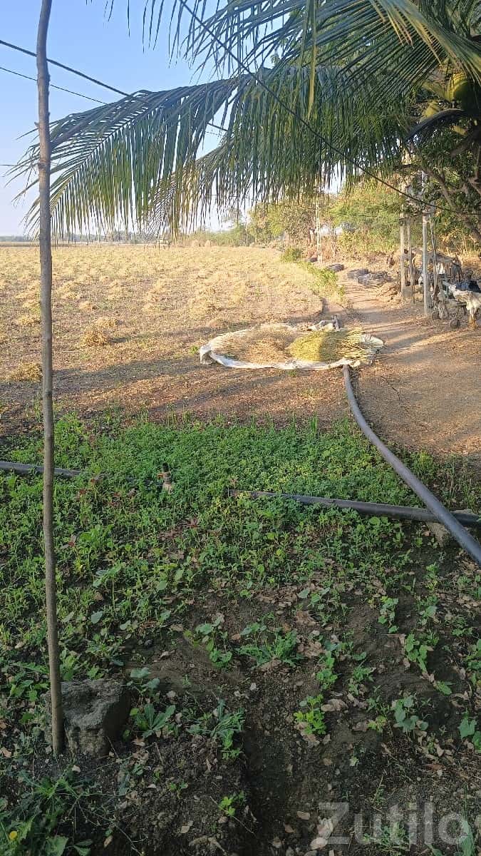 2 Bigha Agricultural Land for Lease 2 Bigha Agricultural Land for Lease