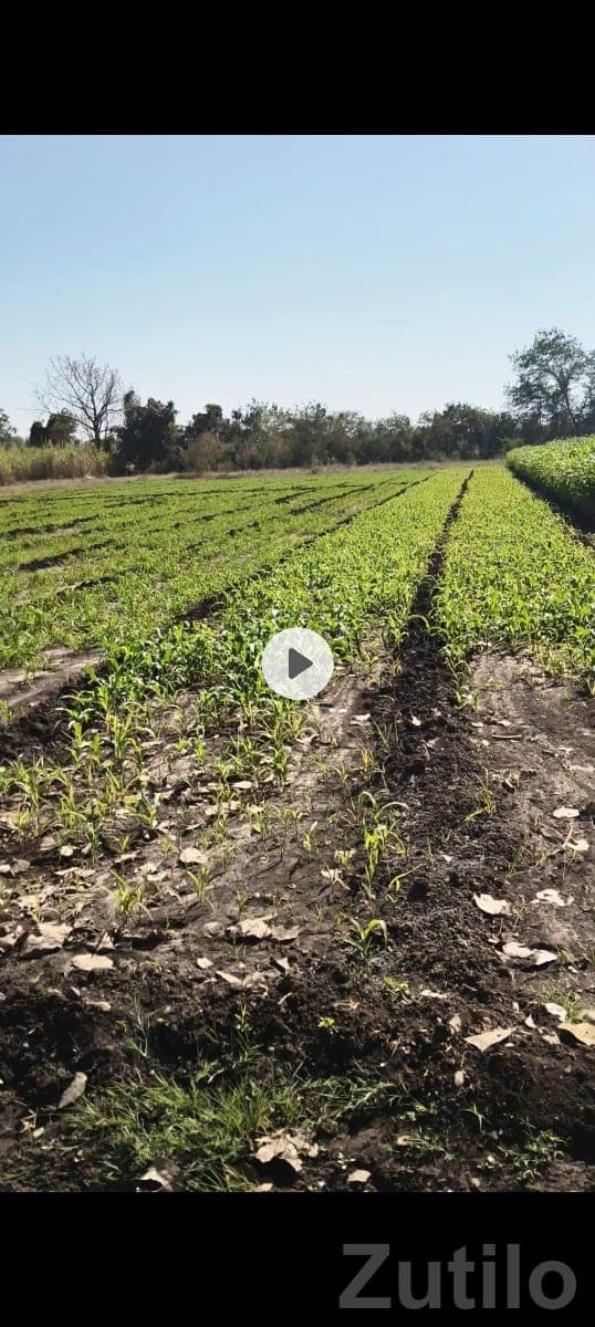 6 Bigha Agricultural Land for Sale 6 Bigha Agricultural Land for Sale