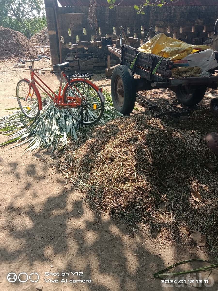 Red Single-Speed Bicycle for Sale Red Single-Speed Bicycle for Sale