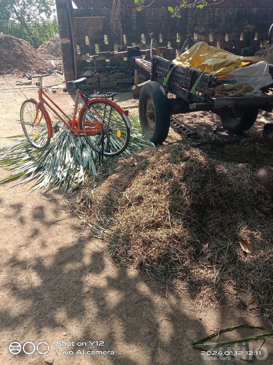 Red Single-Speed Bicycle for Sale Red Single-Speed Bicycle for Sale