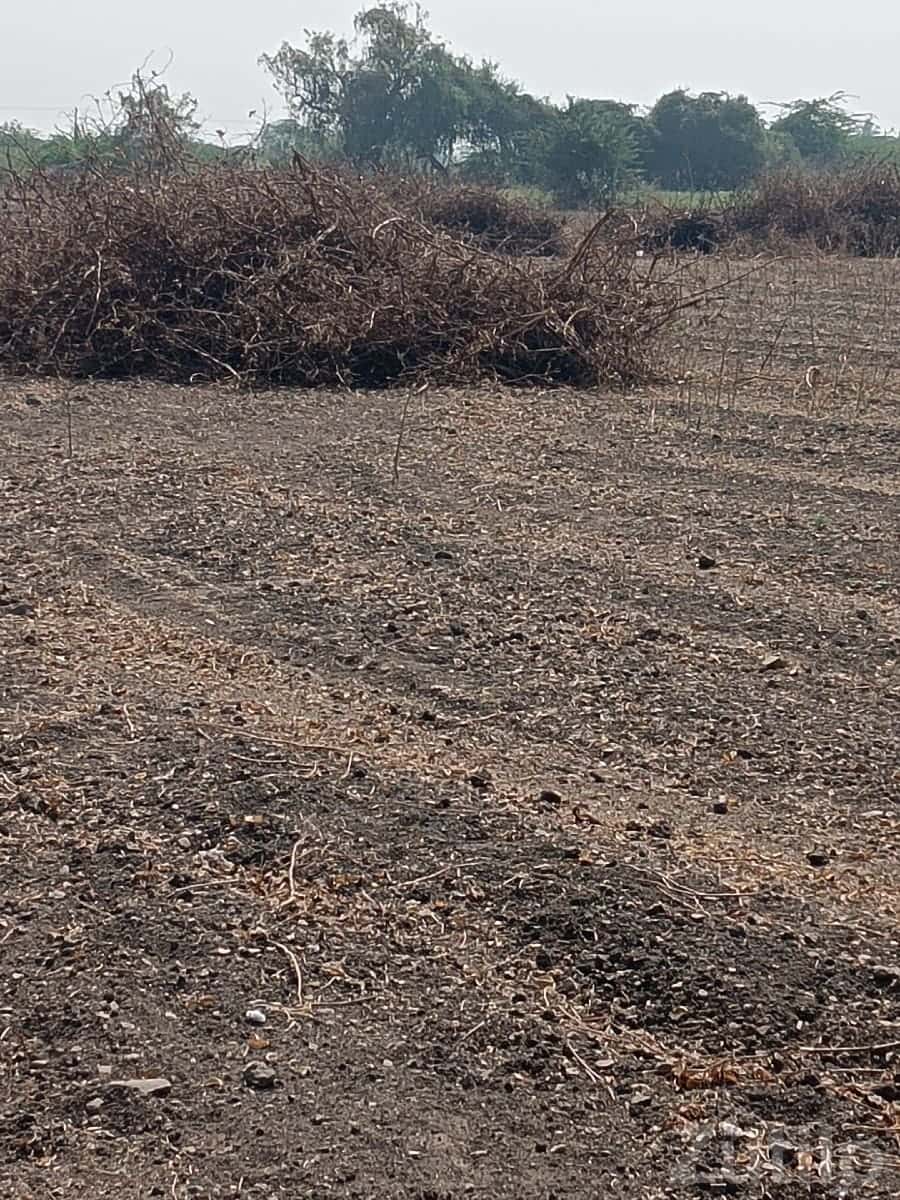 Agricultural Land for Sale in Khadiya Agricultural Land for Sale in Khadiya