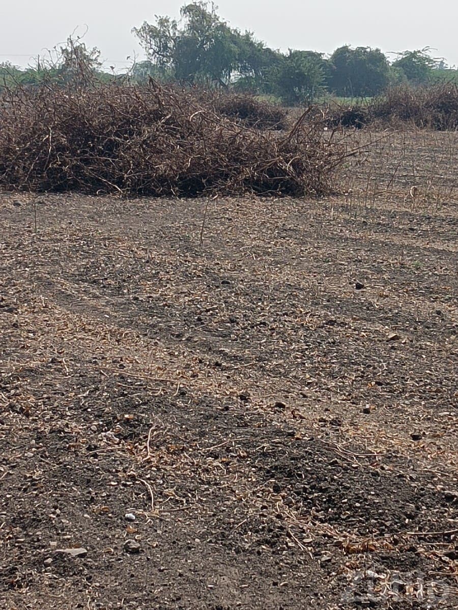 Agricultural Land for Sale in Khadiya Agricultural Land for Sale in Khadiya