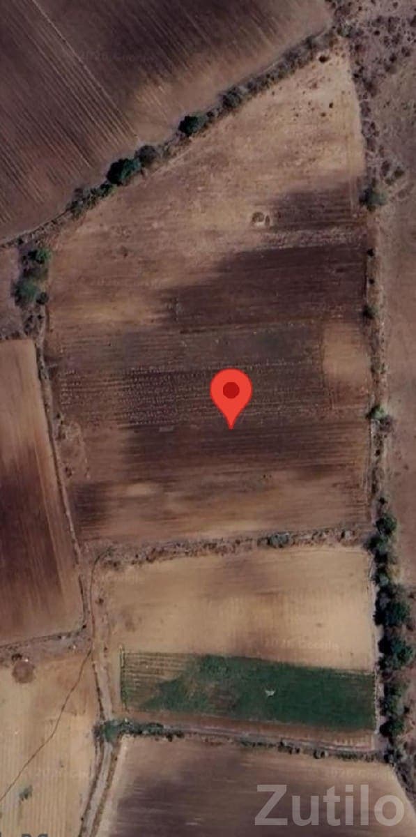 12.5 Bigha Agricultural Land for Sale 12.5 Bigha Agricultural Land for Sale