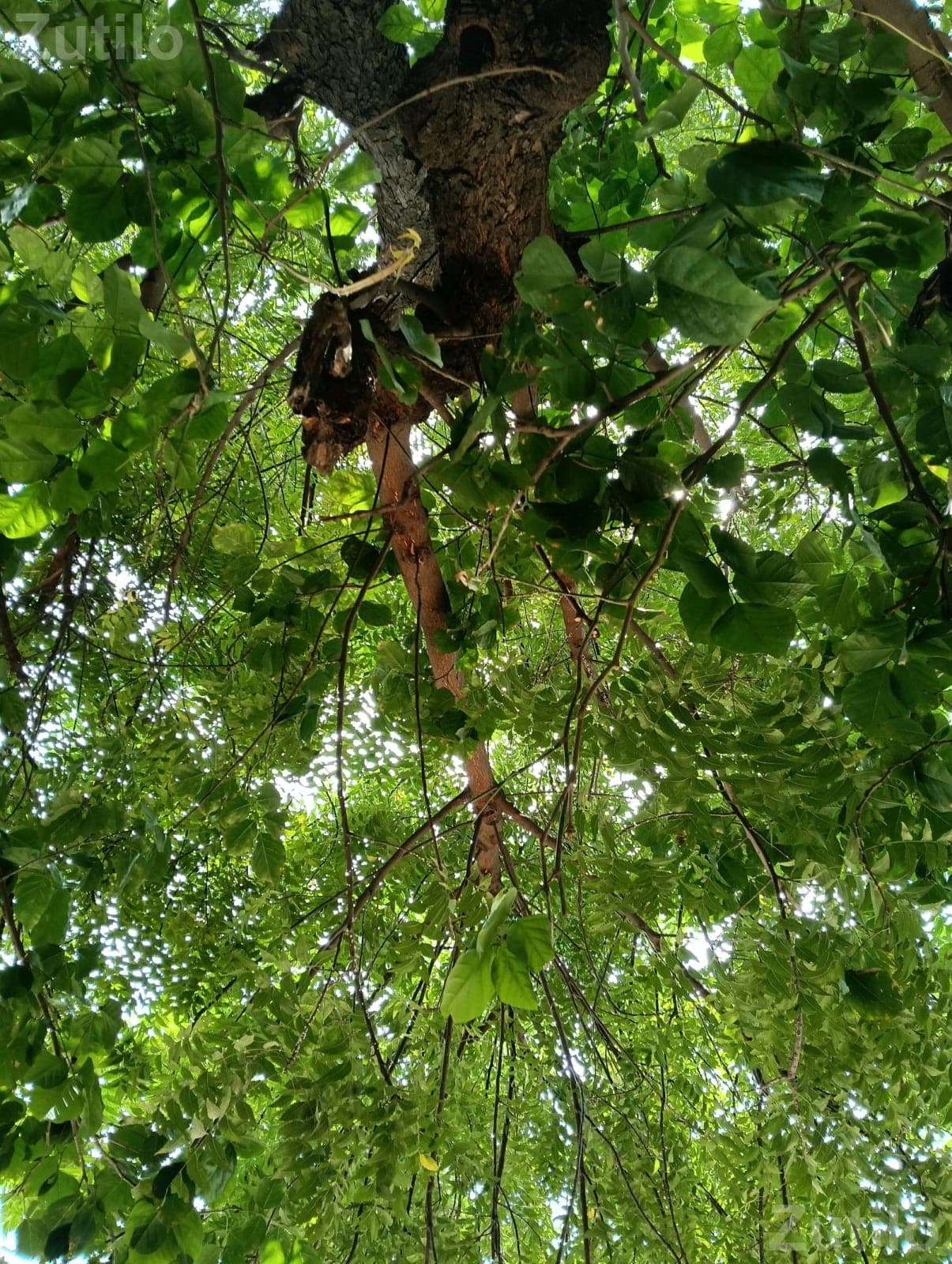 Land Plot Deal in Halvad Taluka Land Plot Deal in Halvad Taluka