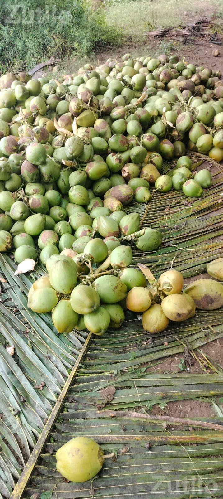 kheti kam mate lebour kheti kam mate lebour