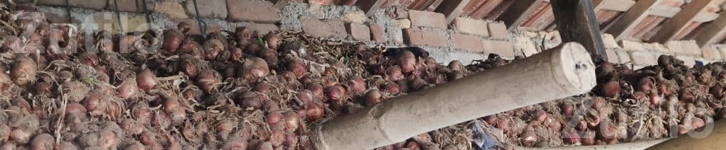 લાલ કાંજી લાલ કાંજી