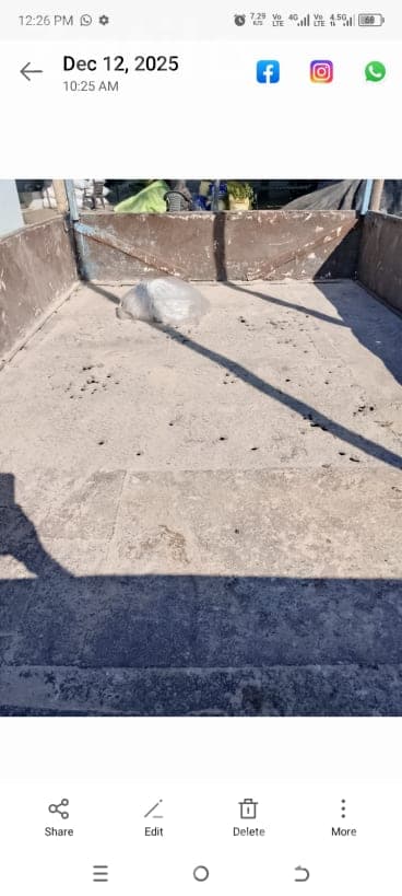 90 Ft Trolley Trailer with Apollo Tyres 90 Ft Trolley Trailer with Apollo Tyres