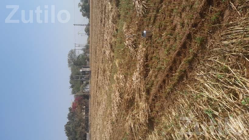Agricultural Land Plot for Sale Agricultural Land Plot for Sale
