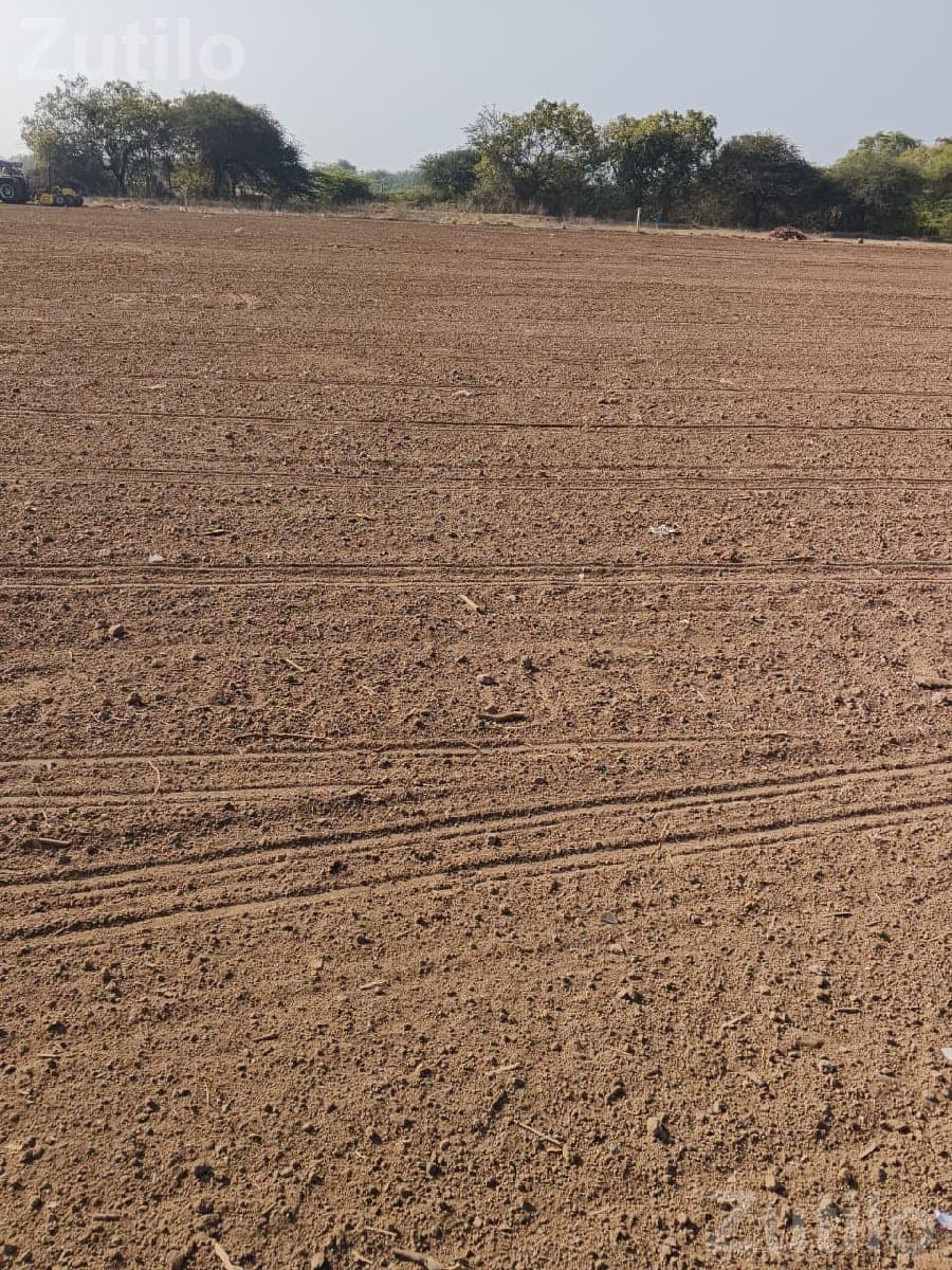 70 Vigha Agricultural Land for Sale 70 Vigha Agricultural Land for Sale