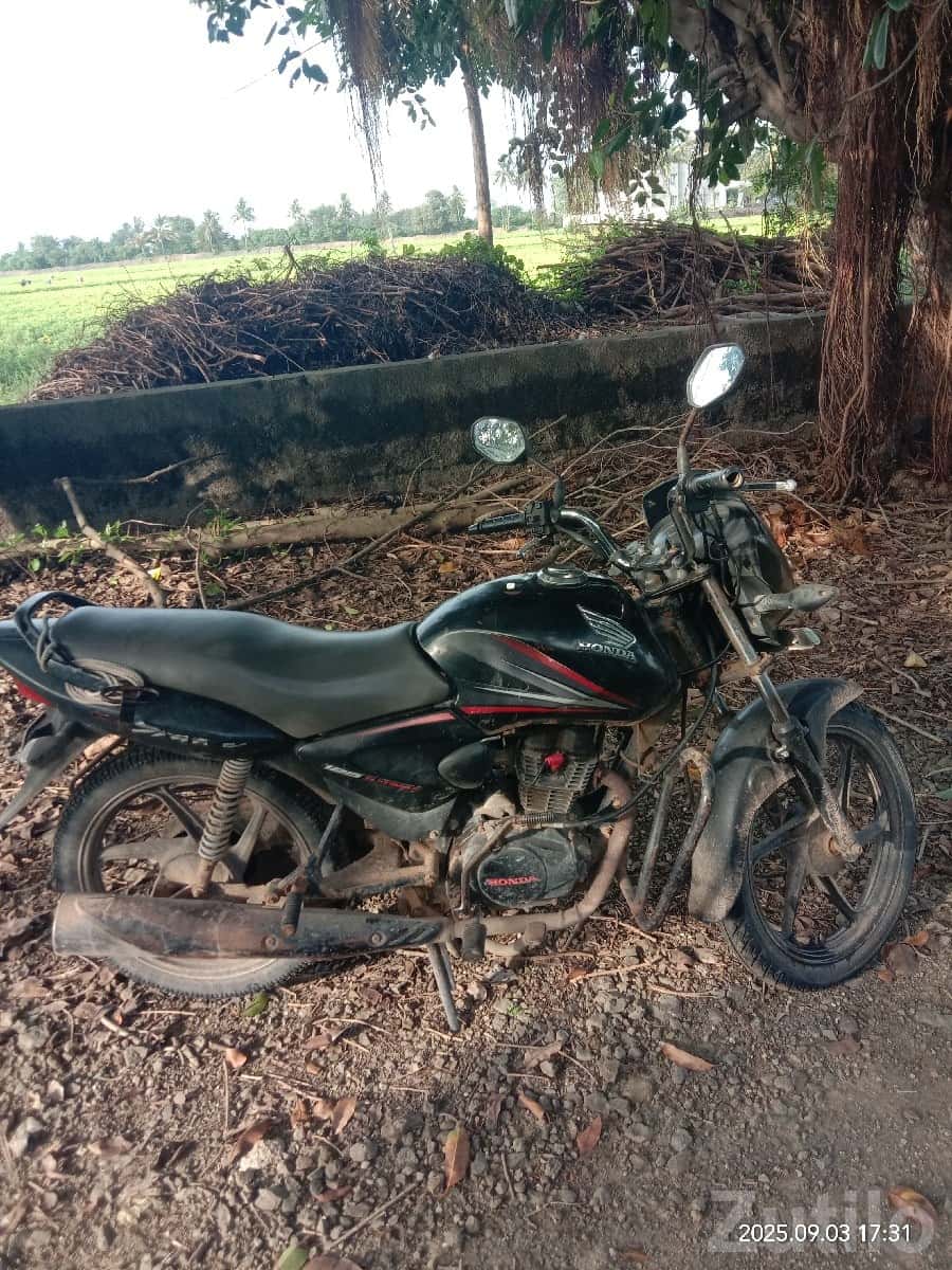 Honda Shine 2013 Bike for Sale Honda Shine 2013 Bike for Sale