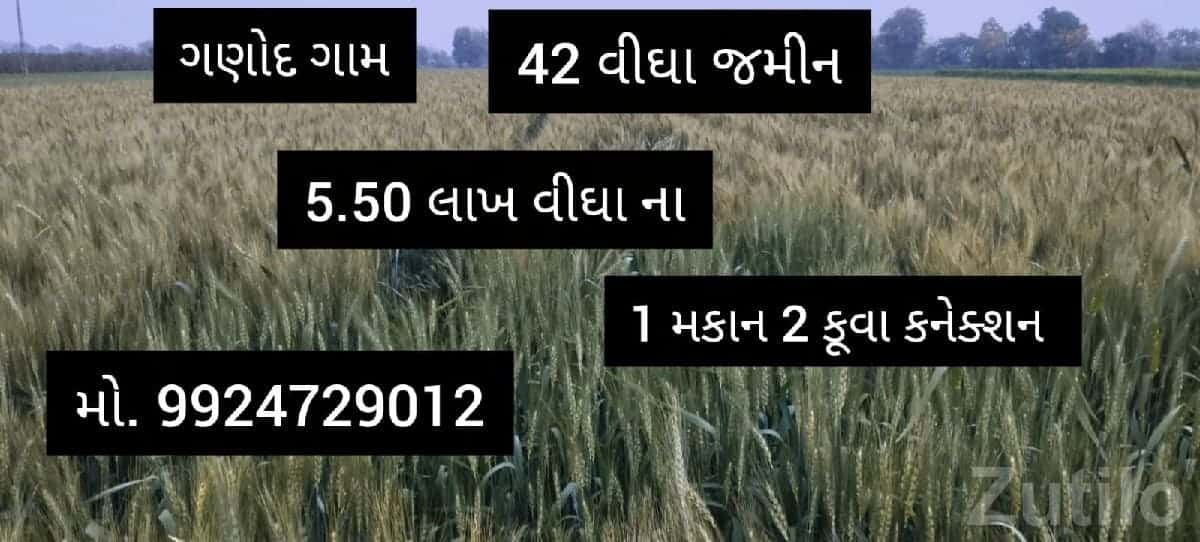 42 Bigha Farm Land with House Ganod 42 Bigha Farm Land with House Ganod