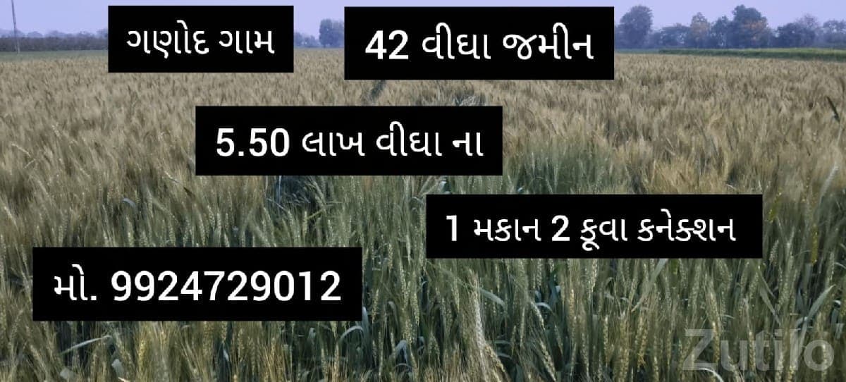 42 Bigha Farm Land with House Ganod 42 Bigha Farm Land with House Ganod