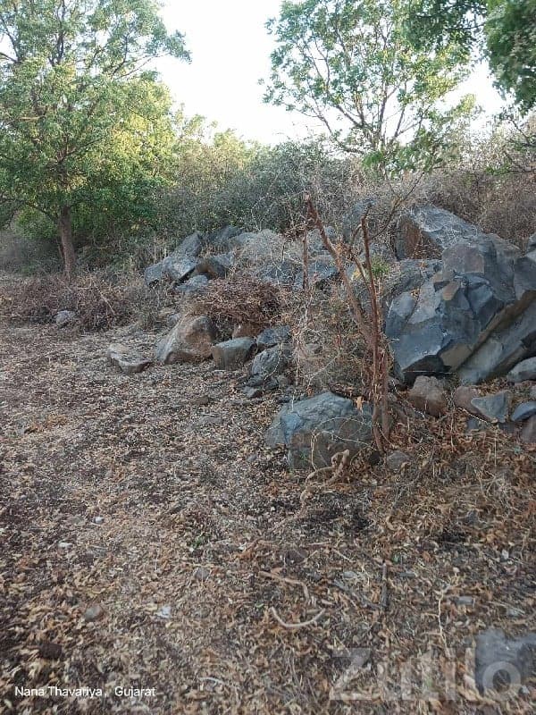 Rocky Land Plot for Sale near Jamnagar Rocky Land Plot for Sale near Jamnagar