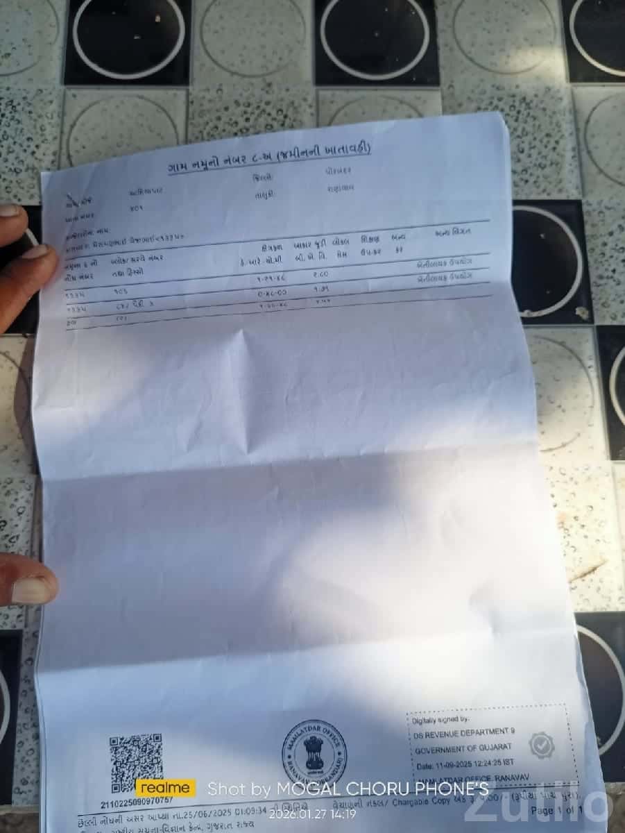 10 Vigha Agricultural Land with Mango Farm 10 Vigha Agricultural Land with Mango Farm