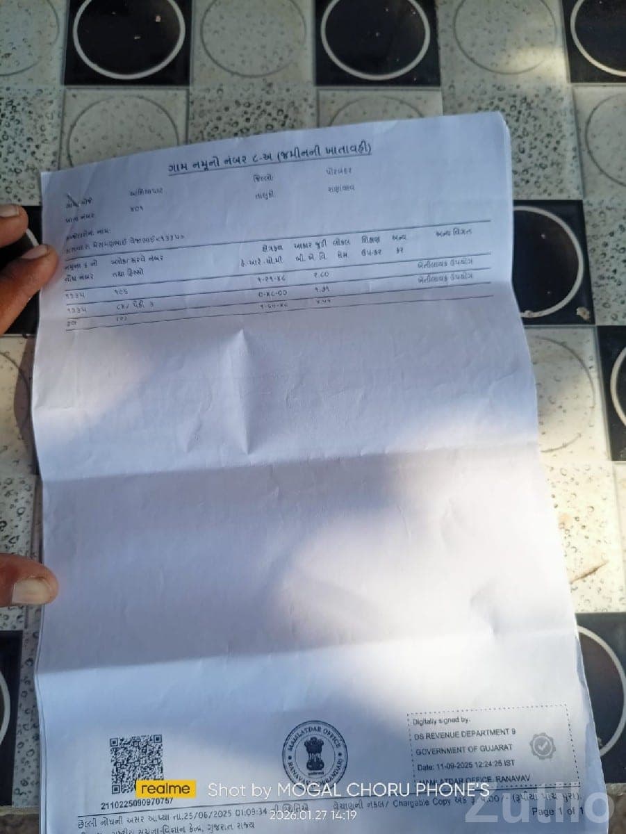 10 Vigha Agricultural Land with Mango Farm 10 Vigha Agricultural Land with Mango Farm