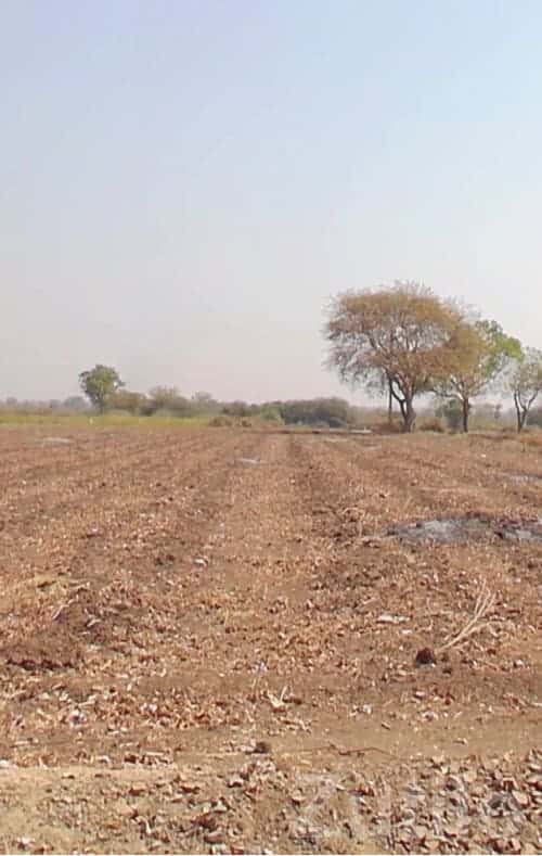 4 Bigha Agricultural Land for Sale 4 Bigha Agricultural Land for Sale